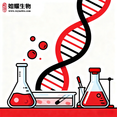 稳转株细胞定制