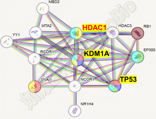 Figure 3(1).png
