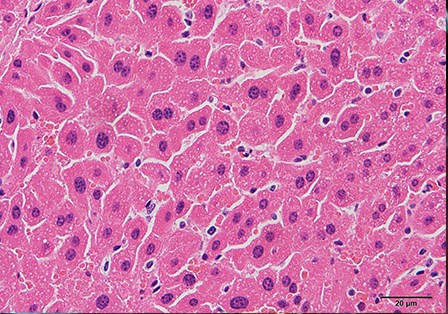 ABUIABACGAAg4KqHtgYo0MGitwIwwAM4ugI