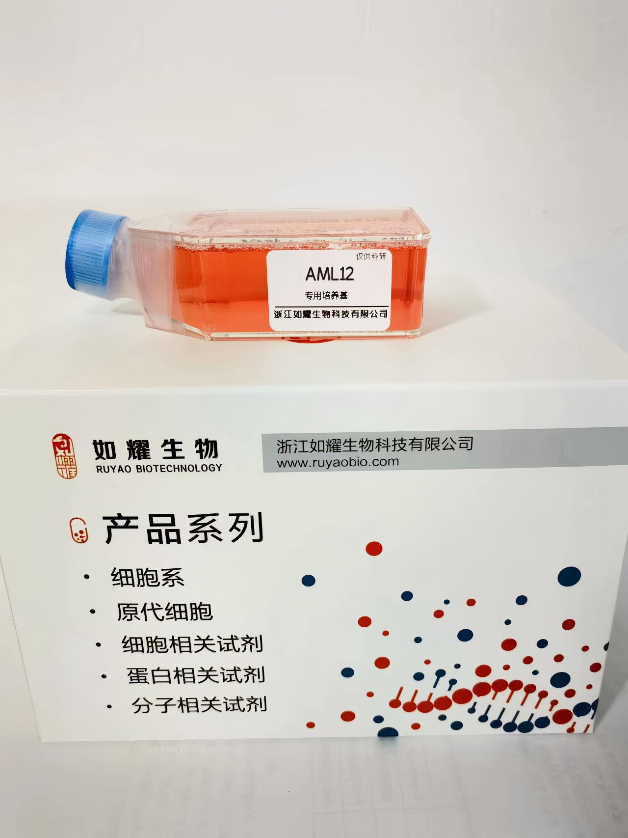 小鼠肝细胞；AML12 - 如耀生物